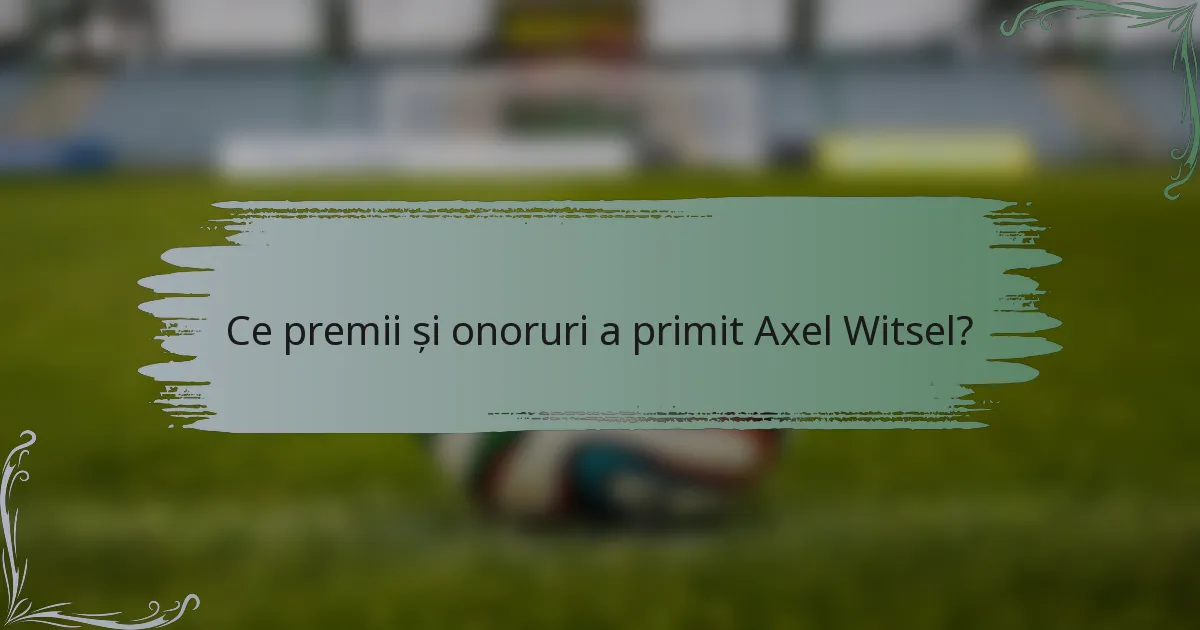 Ce premii și onoruri a primit Axel Witsel?